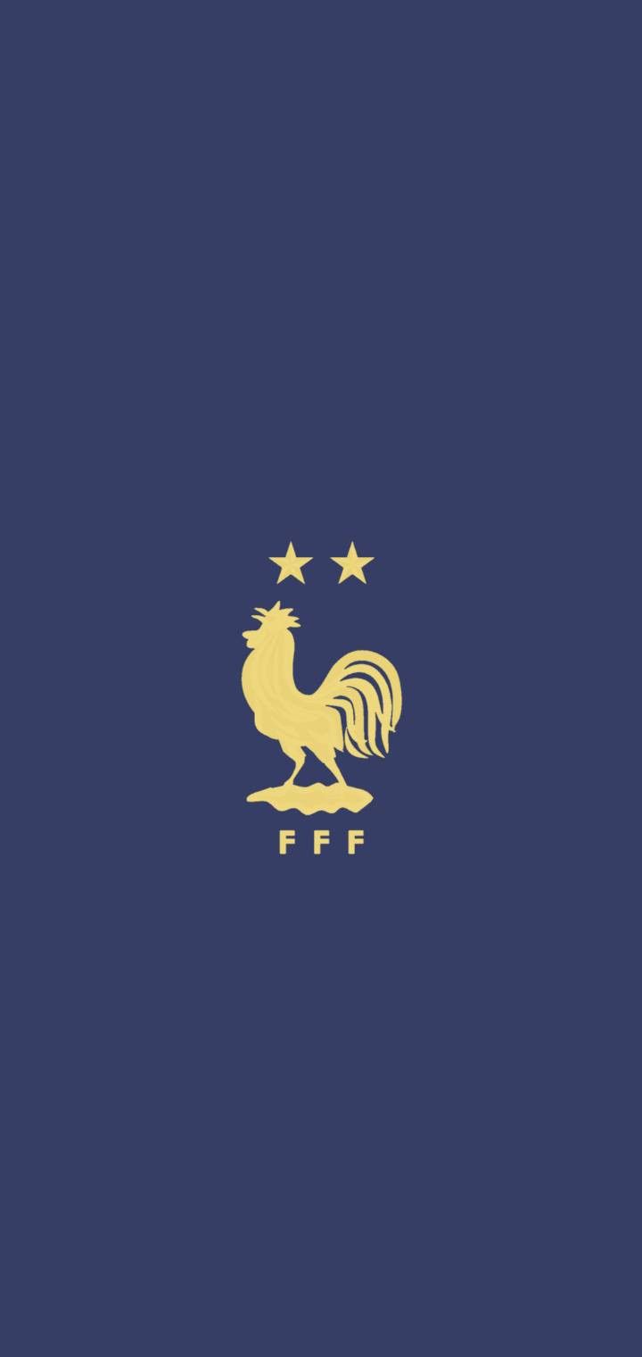 Chelsea, chelsea logo, chelsea png, chelsea wallpaper 4k, França, Wallpaper - França 2022 | Chelsea 4K Wallpaper 164944405097708772