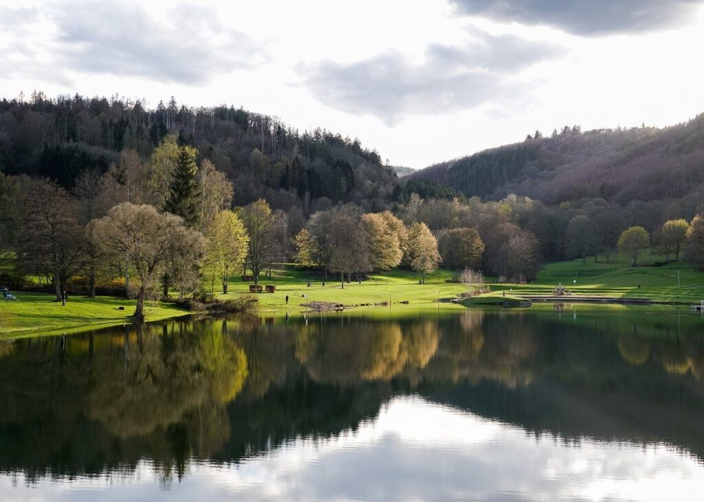 lake, wallpaper 4k, trees