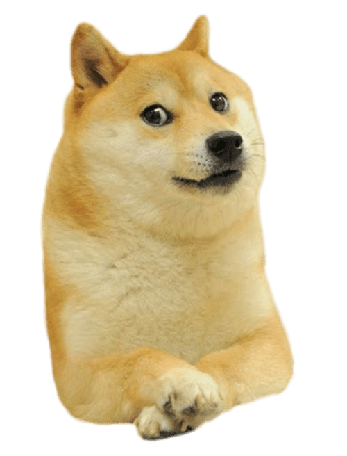 DOGE, Facing, PNG, StickPNG, transparent - Doge Facing Right transparent PNG Free Download background Transparent