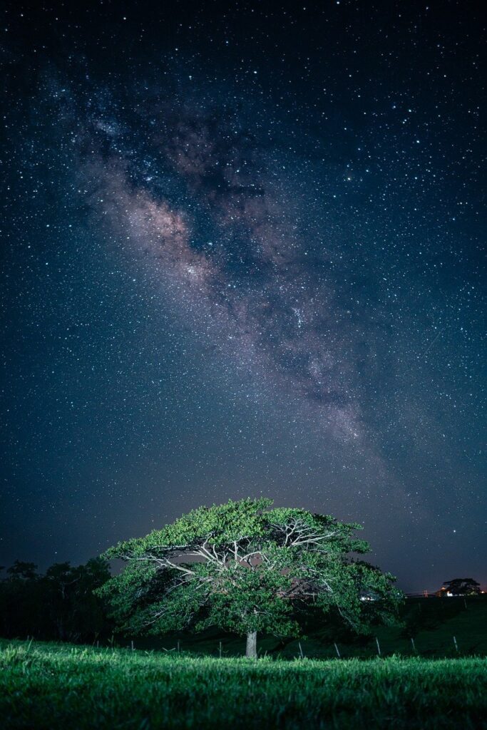 tree, rain, milky way