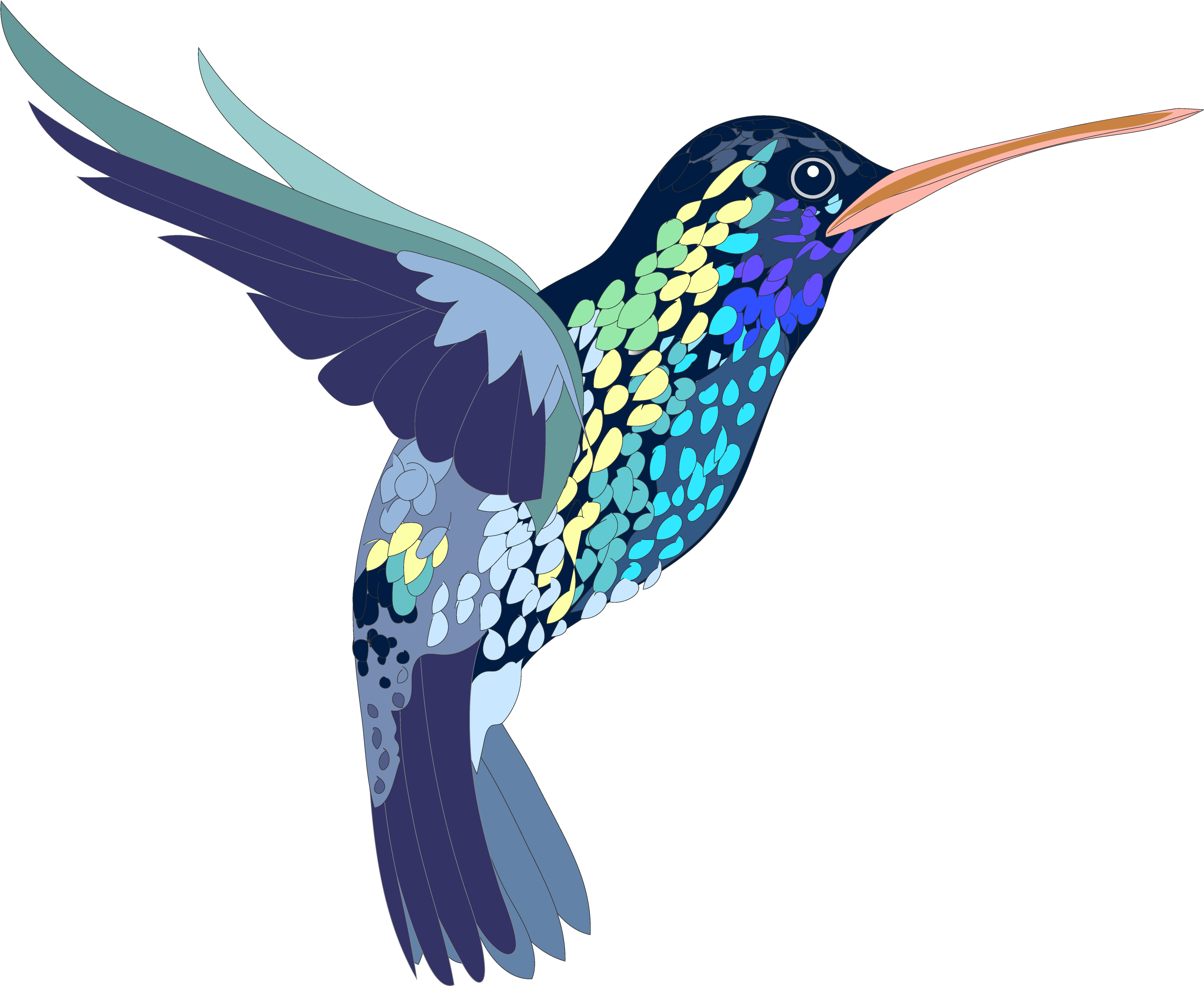 Background, Download, Free, Hummingbird, Image, Photos, PNG, transparent, Vector, Watercolor - Watercolor Photos Vector Hummingbird Image Free Download Background Transparent