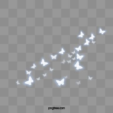 clipart - Butterfly PNG, Vector, PSD, and Clipart With Transparent Background for Free Download | Pngtree | Free Background Transparent 696017317395438537