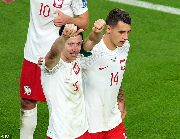 world - Lewandowski CRIES after ending his World Cup scoring drought vs Saudis | Lewandowski 4K Wallpaper 368310075792938233